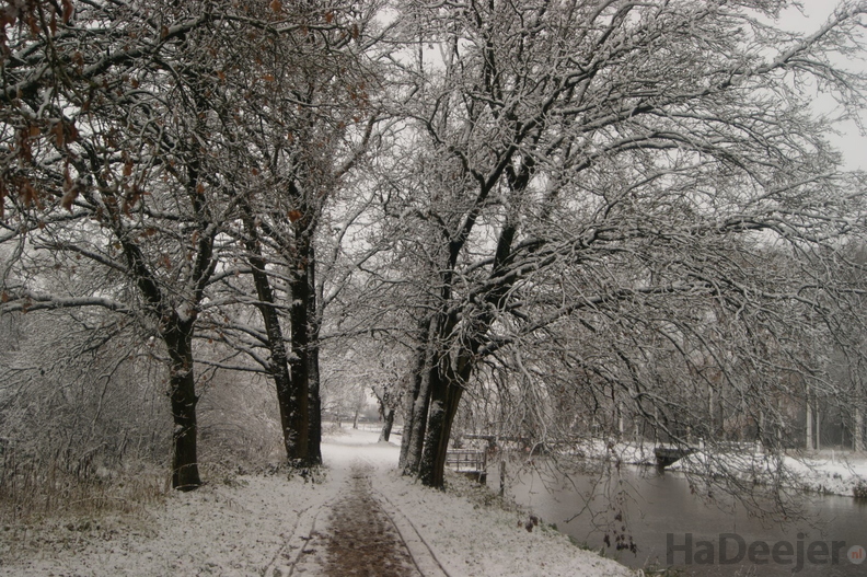 171210-PK-sneeuwval in Heeswijk-_9a_.JPG